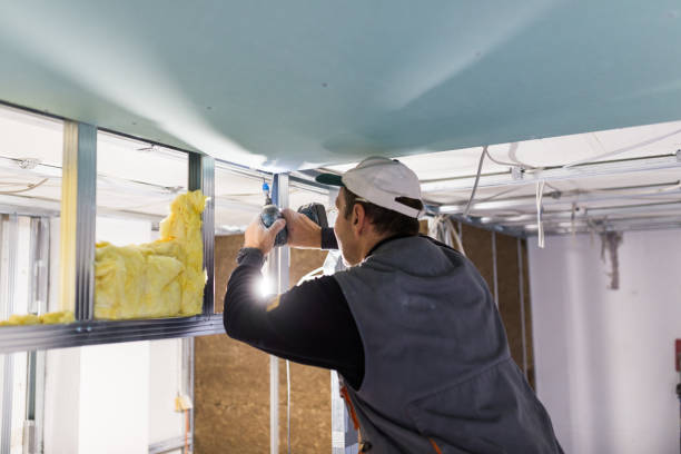 Best Home Insulation Services  in Asheboro, NC