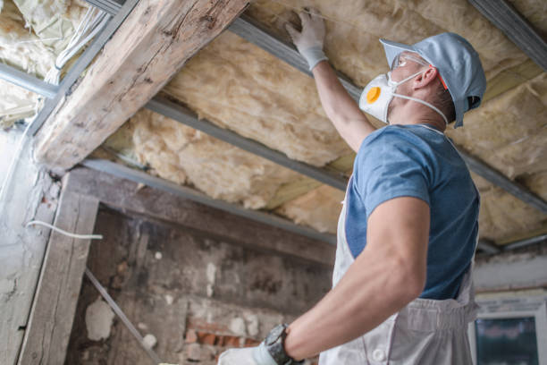 Best Attic Insulation Installation  in Asheboro, NC