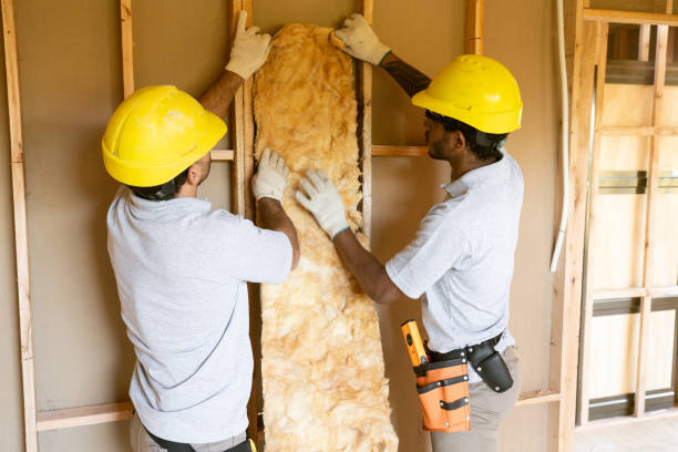 Best Cellulose Insulation  in Asheboro, NC