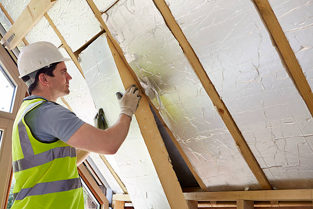 Best Insulation Replacement Services  in Asheboro, NC